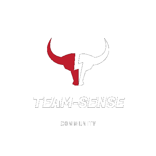 https://team.sense.community/
